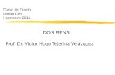 Curso de Direito Direito Civil I I semestre 2011 DOS BENS Prof. Dr. Victor Hugo Tejerina Velázquez.
