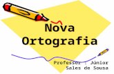Nova Ortografia Professor : Júnior Sales de Sousa.