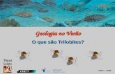 Geologia no Verão O que são Trilobites? INETI - 2006.
