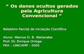 Os danos ocultos gerados pela Agricultura Convencional Os danos ocultos gerados pela Agricultura Convencional Relatório Parcial de Iniciação Científica.