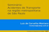 Companhia de Engenharia de Tráfego Luiz de Carvalho Montans montans@cetsp.com.br Seminário: Acidentes de Transporte na região metropolitana de São Paulo.
