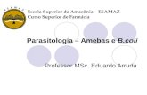 Parasitologia – Amebas e B.coli Professor MSc. Eduardo Arruda Escola Superior da Amazônia – ESAMAZ Curso Superior de Farmácia.