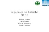 Segurança do Trabalho NR 18 Juliano Lovatto Lucas Muller Marcos Ribeiro Jr. Paulo Ferreira.