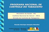PROGRAMA NACIONAL DE CONTROLE DO TABAGISMO Ministério da Saúde - MS Instituto Nacional de Câncer – INCA Divisão de Controle do Tabagismo Ricardo Henrique