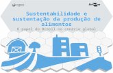 Sustentabilidade e sustentação da produção de alimentos O papel do Brasil no cenário global.