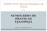 SEMINÁRIO DE PRÁTICAS EJA/OPEJA OSASCO 1º SEMESTRE 2011 EMEF Prof. Manoel Barbosa de Souza.