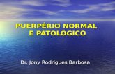 PUERPÉRIO NORMAL E PATOLÓGICO Dr. Jony Rodrigues Barbosa.