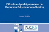 Luana Müller Difusão e Aperfeiçoamento de Recursos Educacionais Abertos Provável Orientadora: Profa. Dra. Milene Selbach Silveira.