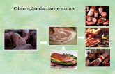 Obtenção da carne suína. Problemas associados a carne suína Os suínos apresentam susceptibilidade elevada para o desenvolvimento de carnes com características.