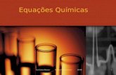 Ana Cristina Menezes Ciências Físico- Químicas 18/4/061 Equações Químicas.