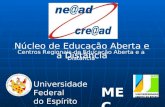 Núcleo de Educação Aberta e a Distância Centros Regionais de Educação Aberta e a Distância MEC Universidade Federal do Espírito Santo.