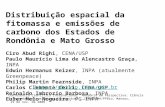Distribuição espacial da fitomassa e emissões de carbono dos Estados de Rondônia e Mato Grosso Ciro Abud Righi, CENA/USP Paulo Maurício Lima de Alencastro.