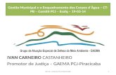 Gestão Municipal e o Enquadramento dos Corpos d`Àgua – CT- PB – Comitê PCJ – Esalq – 19-03-14 IVAN CARNEIRO CASTANHEIRO Promotor de Justiça – GAEMA PCJ-Piracicaba.