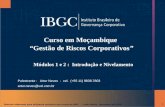 Material elaborado para utilização exclusiva nos cursos do IBGC - Artur Neves Novembro de 2010 1 Curso em Moçambique “Gestão de Riscos Corporativos” Palestrante.