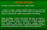 CITOLOGIA Citologia é o campo da Biologia que estuda a célula. A célula é a menor unidade estrutural básica do ser vivo. Foi descoberta em 1667 pelo inglês.