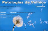 Patologias da Velhice Unidade Curricular: Antropologia e Envelhecimento Docente: Prof. Dr. Joaquim Marujo Discente: Cátia Simões Ano Lectivo: 2008/2009.