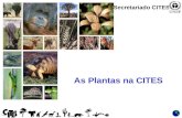 1 As Plantas na CITES Secretariado CITES. 2 Definição de propagação artificial O termo ‘propagação artificial’ está especificamente referido no Artigo.