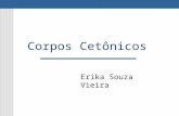 Corpos Cetônicos Erika Souza Vieira. Corpos Cetônicos São produzidos em resposta a níveis elevados de Ácidos Graxos no fígado. Quando Acetil CoA excede.