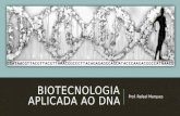 BIOTECNOLOGIA APLICADA AO DNA Prof. Rafael Marques.