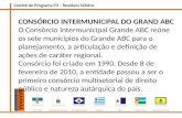 Comitê de Programa P3 – Resíduos Sólidos CONSÓRCIO INTERMUNICIPAL DO GRAND ABC O Consórcio Intermunicipal Grande ABC reúne os sete municípios do Grande.