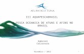 1 Gabriel Calzavara III AQUAPESCABRASIL A PESCA OCEANICA DE ATUNS E AFINS NO BRASIL Novembro / 2012.