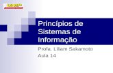 Princípios de Sistemas de Informação Profa. Liliam Sakamoto Aula 14.