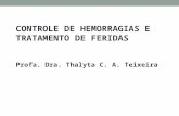 CONTROLE DE HEMORRAGIAS E TRATAMENTO DE FERIDAS Profa. Dra. Thalyta C. A. Teixeira.