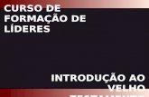 CFL Introdução ao VT CURSO DE FORMAÇÃO DE LÍDERES INTRODUÇÃO AO VELHO TESTAMENTO.