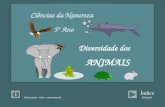 Informações sobre a apresentação Índice Ciências da Natureza 5º Ano Diversidade dos ANIMAIS Principal.