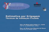 Eng. de Minas João Felipe C.L. Costa Prof. Dr. do DEMIN/PPGEM, UFRGS Eng. de Minas Luis Eduardo de Souza Doutorando do PPGEM, UFRGS Estimativa por Krigagem.
