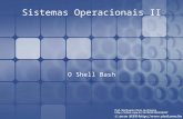 Sistemas Operacionais II O Shell Bash. Objetivos Conhecer a sintaxe dos comandos; Trabalhar com funções; Trabalhar com variáveis; Expressões aritméticas;