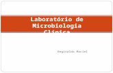 Reginalda Maciel Laboratório de Microbiologia Clínica.