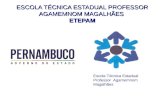 Escola Técnica Estadual Professor Agamemnom Magalhães ESCOLA TÉCNICA ESTADUAL PROFESSOR AGAMEMNOM MAGALHÃES ETEPAM.