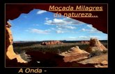 Moçada Milagres da natureza... A Onda - Arizona O Cenário é incrivelmente harmonioso... Veja como são lindas as formas das rochas e suas cores...