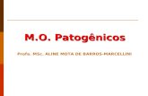 M.O. Patogênicos Profa. MSc. ALINE MOTA DE BARROS-MARCELLINI.