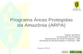Outubro / 2012 Programa Áreas Protegidas da Amazônia (ARPA) Trajano Quinhões Coordenador do Programa Departmento de Áreas Protegidas - DAP Secretaria.