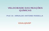 VELOCIDADE DAS REA‡•ES QUMICAS Prof. Dr. ARNALDO ANTONIO RODELLA ESALQ/USP
