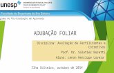 ADUBAÇÃO FOLIAR Disciplina: Avaliação de Fertilizantes e Corretivos Prof. Dr. Salatier Buzetti Aluno: Lenon Henrique Lovera Programa de Pós-Graduação em.