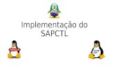 Implementação do SAPCTL. + SAP Basis Know HOW Oracle Grid Infrastructure SAPCTL.