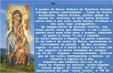 O quadro de Nossa Senhora do Perpétuo Socorro carrega muitas curiosidades – Ícone de estilo bizantino. Andrea Ritzos, pintor grego do século XV, realizou.