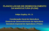 PLANOS LOCAIS DE DESENVOLVIMENTO DA MARICULTURA (PLDM) Felipe Suplicy, Ph. D. Coordenação-Geral de Maricultura Diretoria de Desenvolvimento da Aqüicultura.