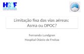 Limitação fixa das vias aéreas: Asma ou DPOC? Fernando Lundgren Hospital Otávio de Freitas.