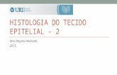 HISTOLOGIA DO TECIDO EPITELIAL - 2 Vera Regina Andrade, 2015.