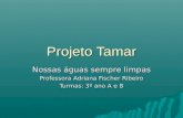 Projeto Tamar Nossas águas sempre limpas Professora Adriana Fischer Ribeiro Turmas: 3º ano A e B.