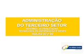 ADMINISTRAÇÃO DO TERCEIRO SETOR INTERNET, GLOBALIZAÇÃO, TECNOLOGIA DA INFORMAÇÃO E REDES AULAS 02 e 03.