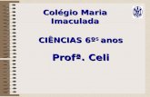 Colégio Maria Imaculada CIÊNCIAS 6º S anos Profª. Celi.