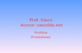 Prof. Vasco Acesse: vascobio.net Protistas (Protoctistas)