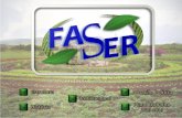 Federação Nacional dos Trabalhadores da Assistência Técnica e Extensão Rural e do Setor Público Agrícola do Brasil – FASER “Organizar e representar as.
