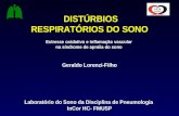 DISTÚRBIOS DISTÚRBIOS RESPIRATÓRIOS DO SONO Estresse oxidativo e inflamação vascular na síndrome de apnéia do sono Geraldo Lorenzi-Filho Laboratório do.