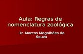 Aula: Regras de nomenclatura zoológica Dr. Marcos Magalhães de Souza.